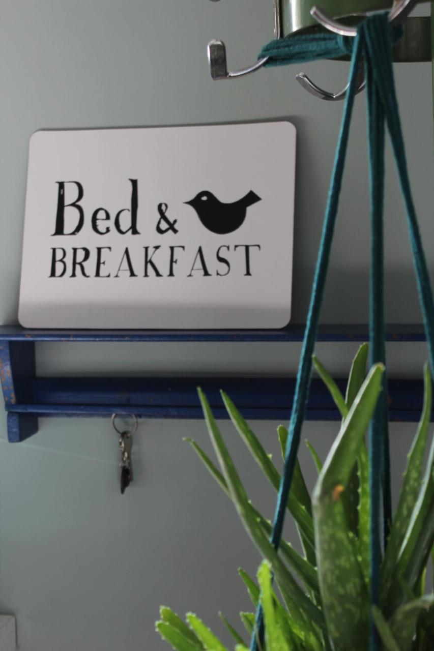 Het Aambeeld Bed & Breakfast Wanroij Ngoại thất bức ảnh